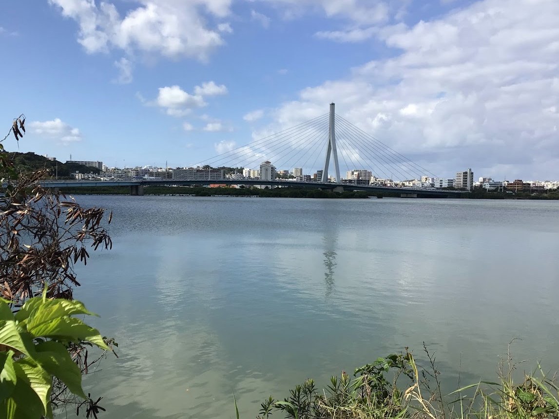 🌊 만코 물새・습지 센터 이미지 7